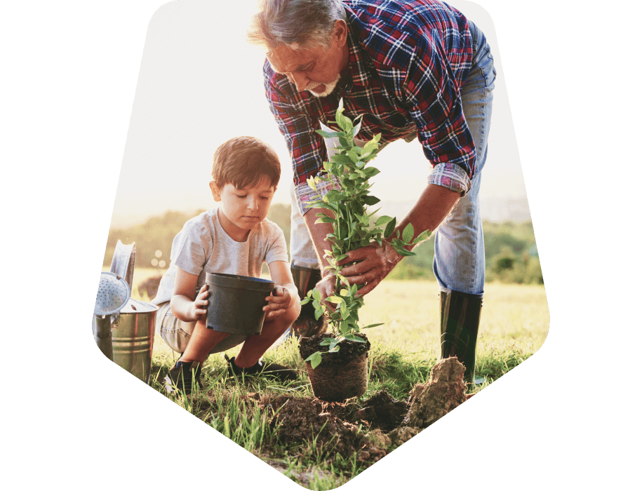 A man helping a young boy plant a tree in the ground